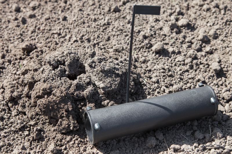 How Moles Disrupt Root Systems And Landscape Drainage